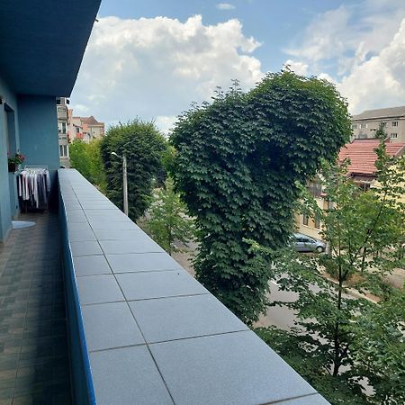 Apartament Very Big Bistriţa 外观 照片